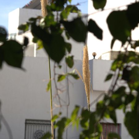 Residence Sterne Hammam al Ghazzaz Exteriör bild