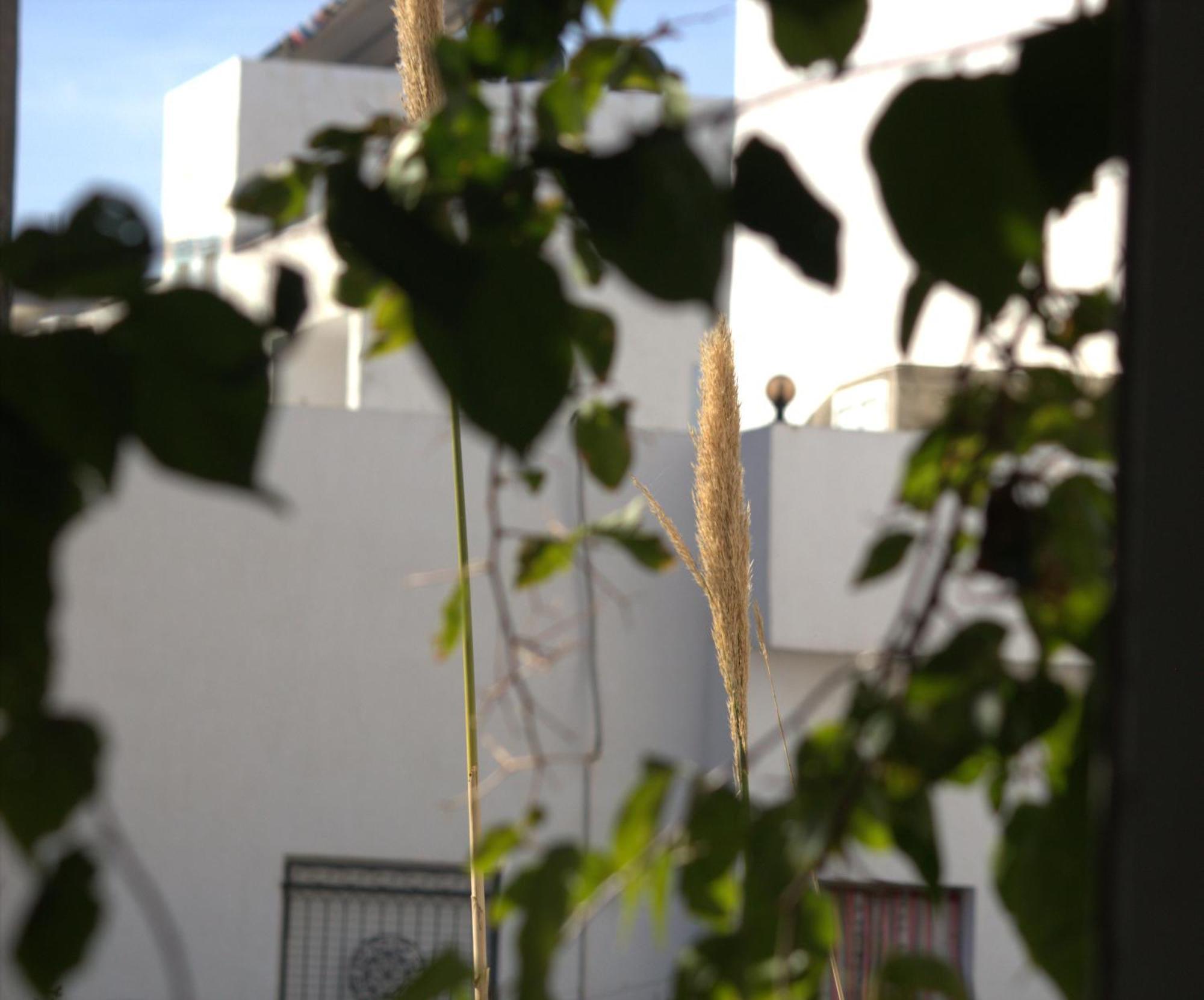 Residence Sterne Hammam al Ghazzaz Exteriör bild