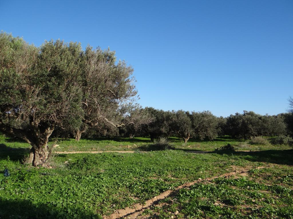 Residence Sterne Hammam al Ghazzaz Exteriör bild
